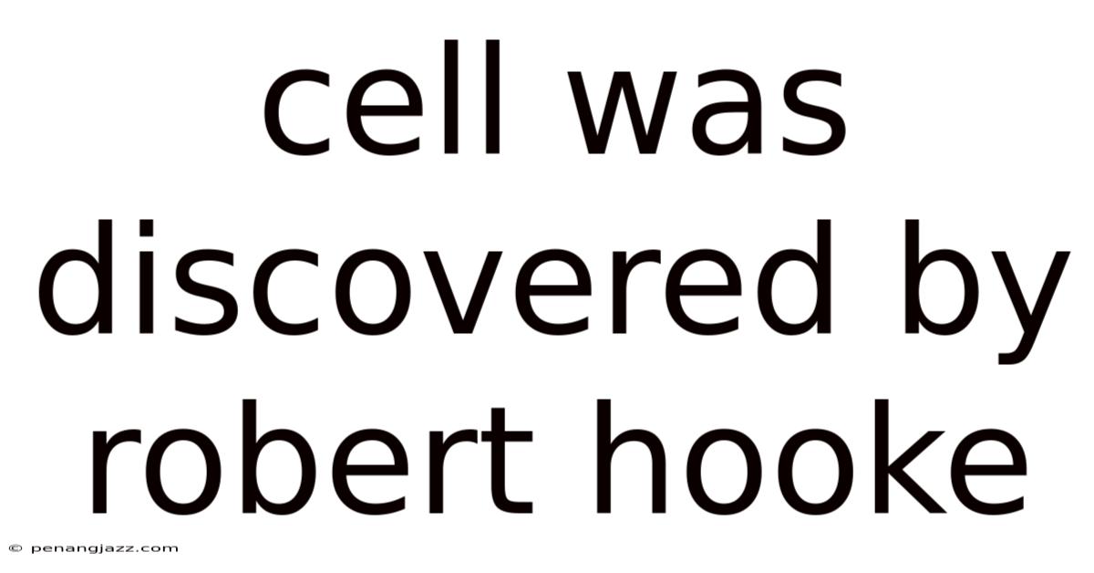 Cell Was Discovered By Robert Hooke