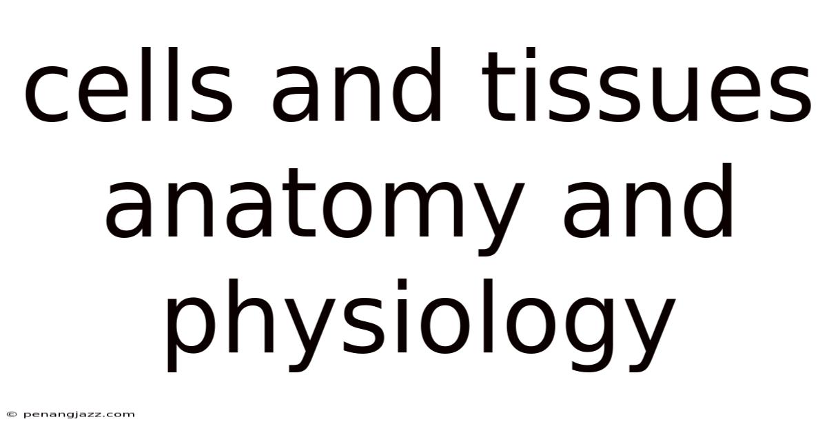 Cells And Tissues Anatomy And Physiology