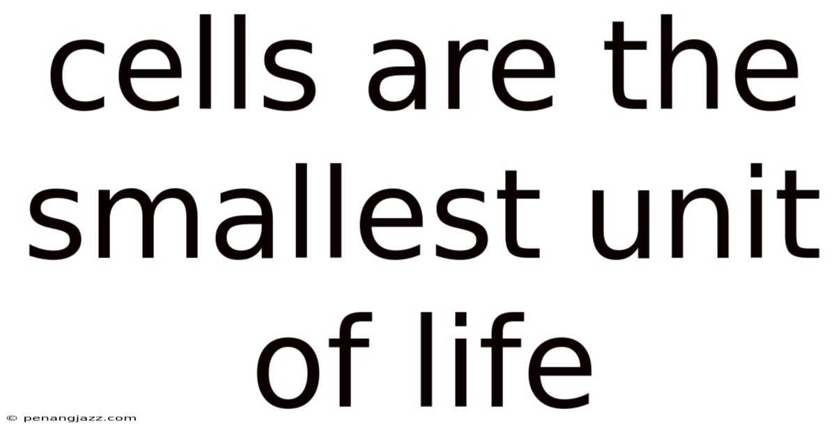 Cells Are The Smallest Unit Of Life