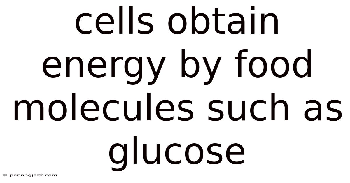 Cells Obtain Energy By Food Molecules Such As Glucose