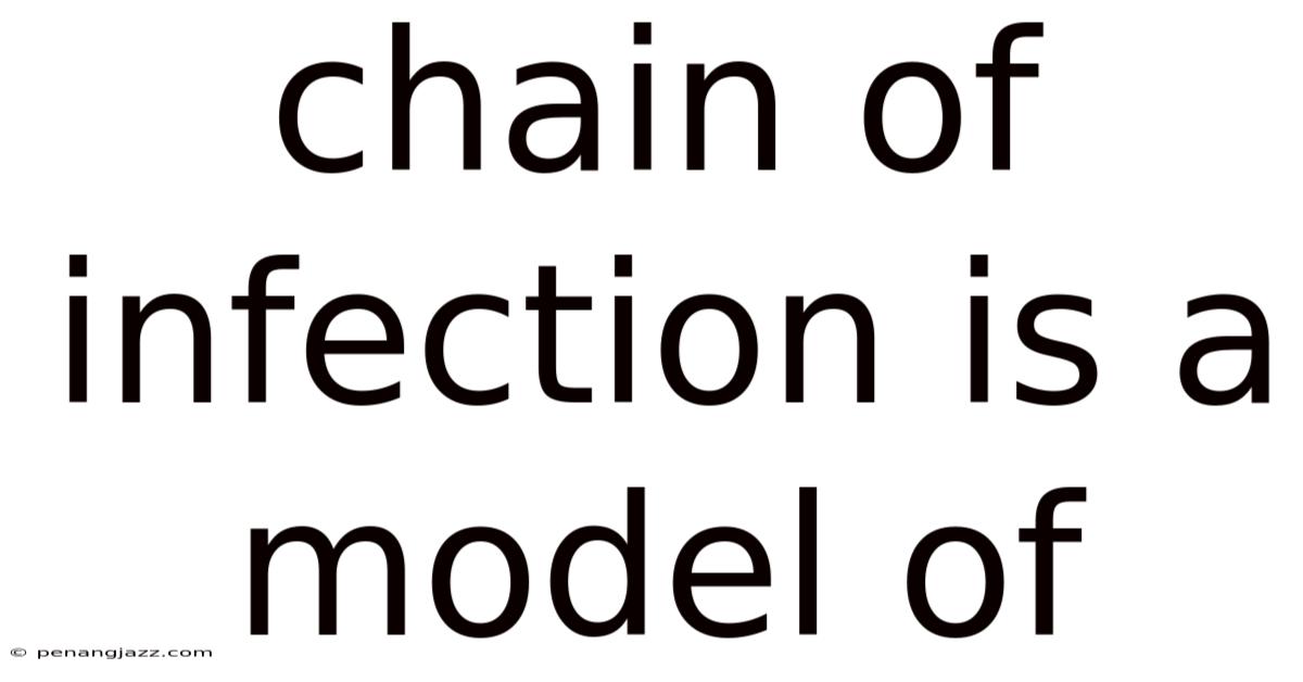 Chain Of Infection Is A Model Of