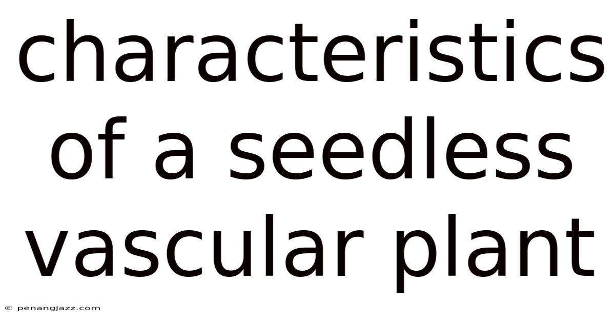 Characteristics Of A Seedless Vascular Plant