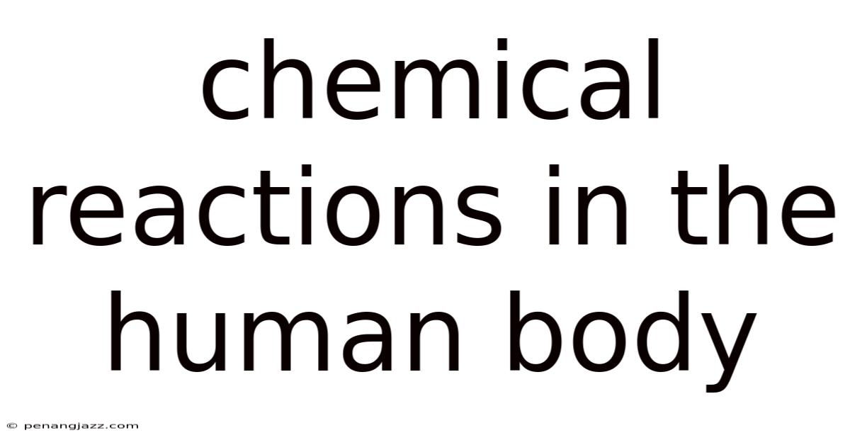 Chemical Reactions In The Human Body