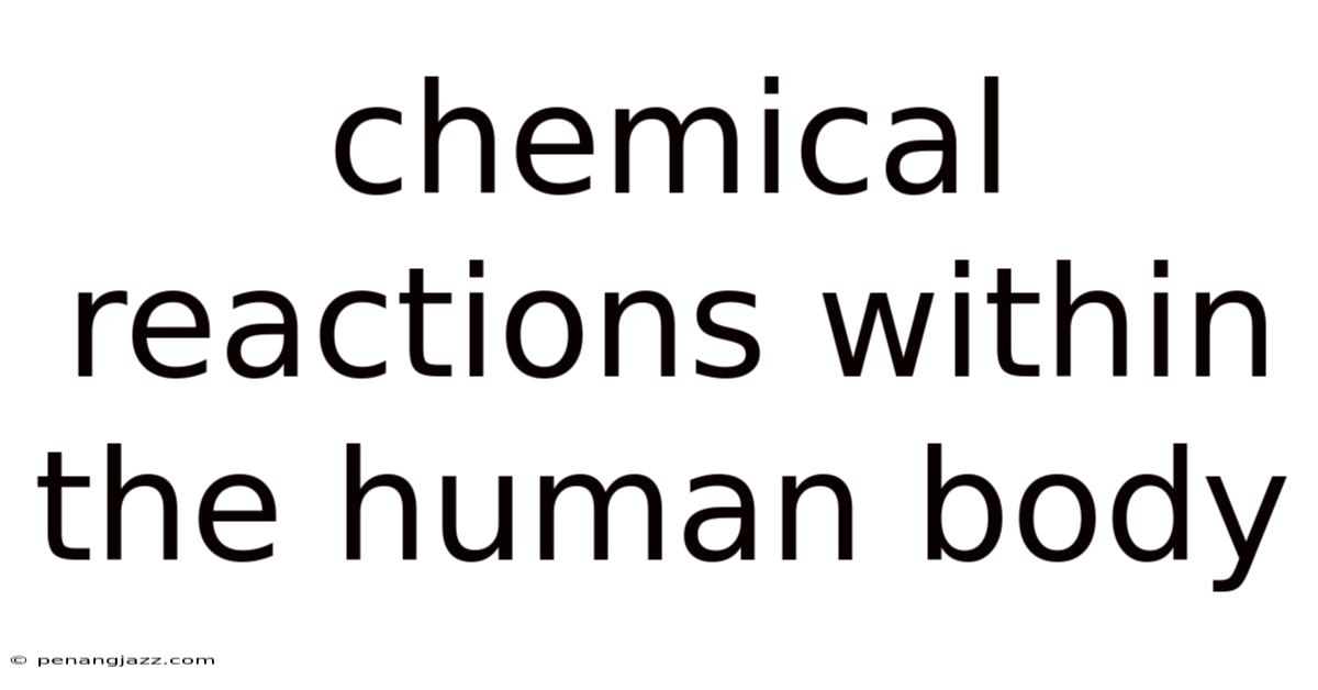 Chemical Reactions Within The Human Body
