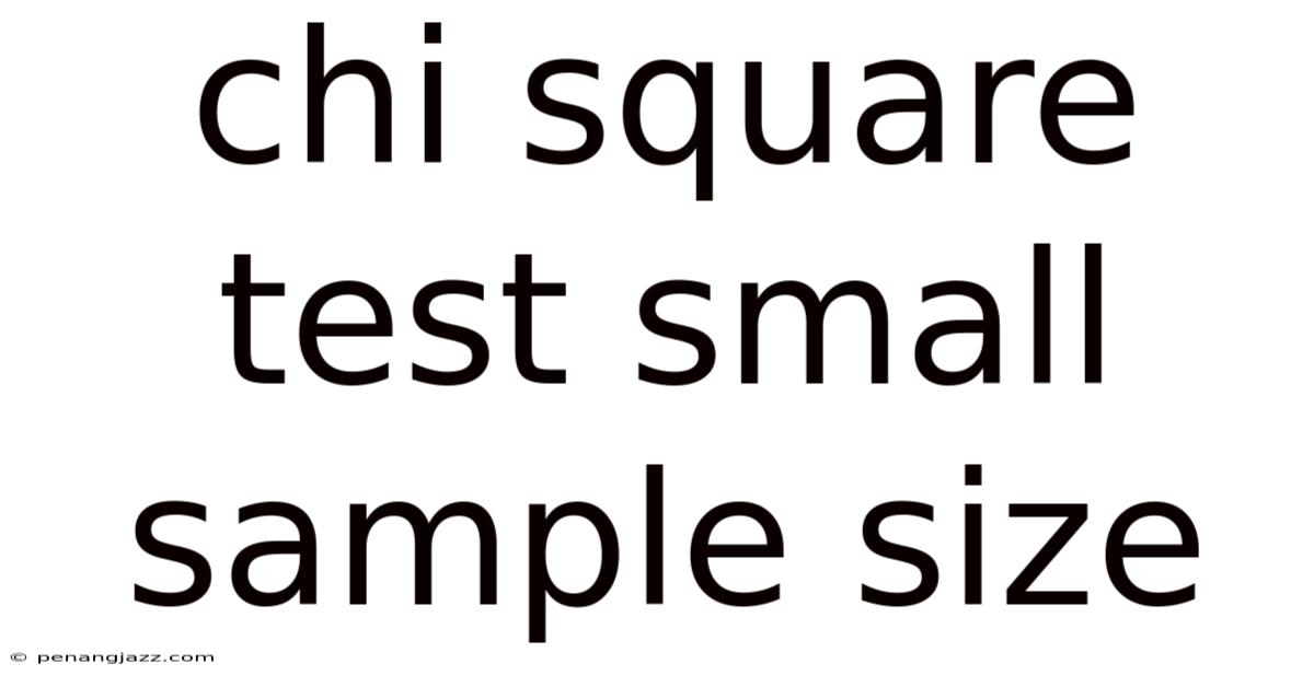 Chi Square Test Small Sample Size