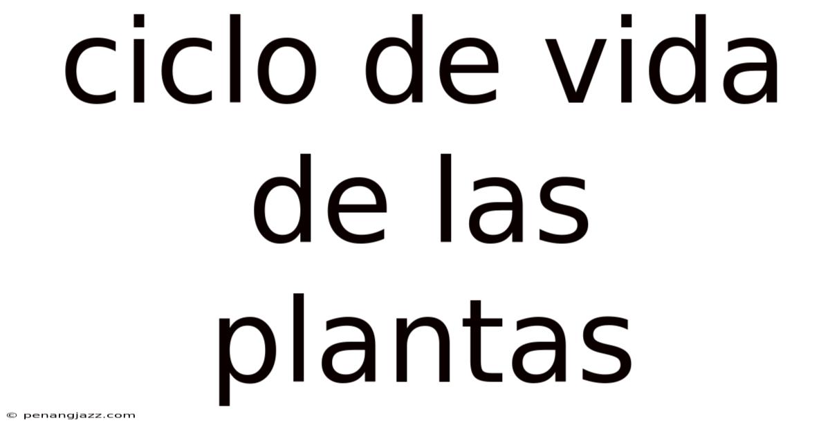 Ciclo De Vida De Las Plantas