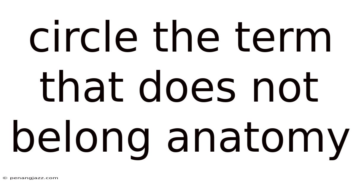 Circle The Term That Does Not Belong Anatomy