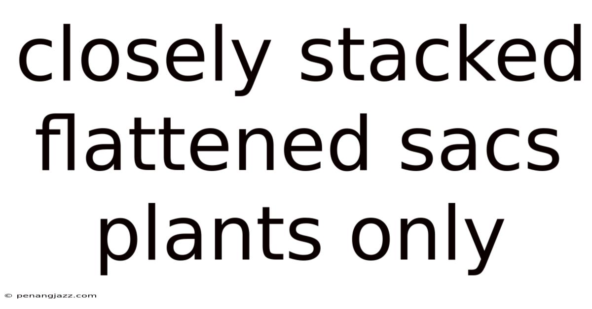 Closely Stacked Flattened Sacs Plants Only