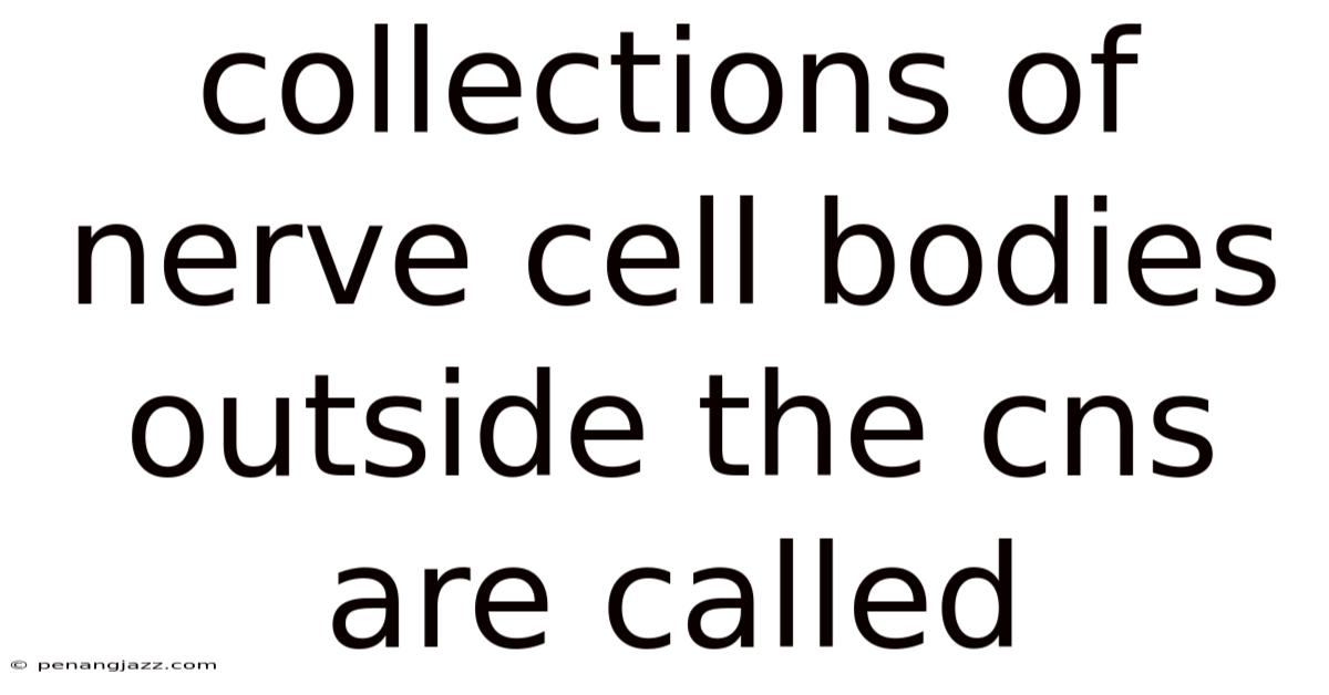 Collections Of Nerve Cell Bodies Outside The Cns Are Called