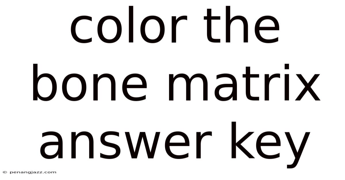 Color The Bone Matrix Answer Key