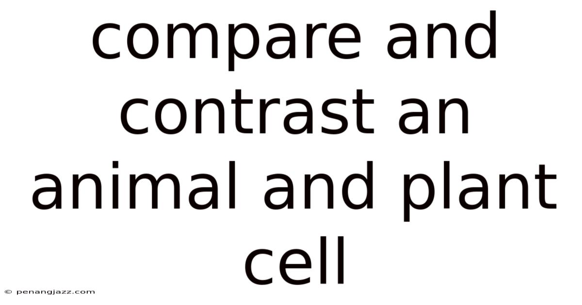 Compare And Contrast An Animal And Plant Cell
