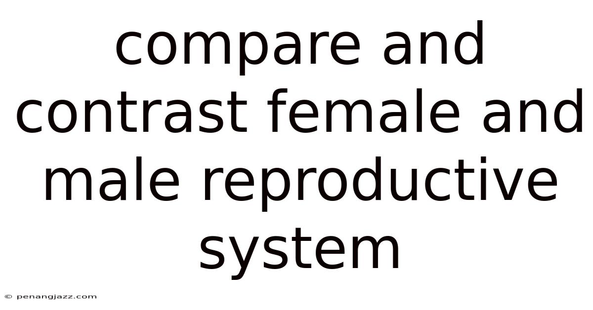 Compare And Contrast Female And Male Reproductive System
