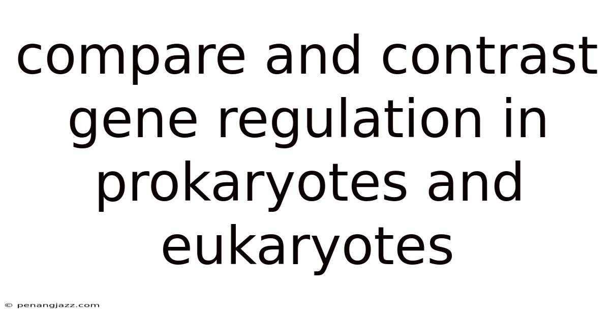 Compare And Contrast Gene Regulation In Prokaryotes And Eukaryotes