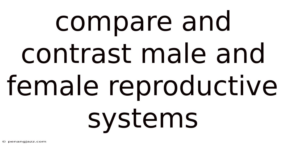 Compare And Contrast Male And Female Reproductive Systems