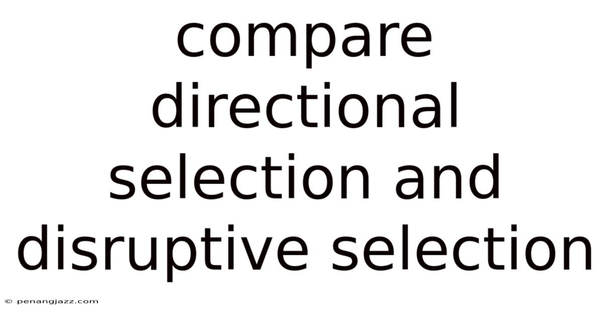 Compare Directional Selection And Disruptive Selection
