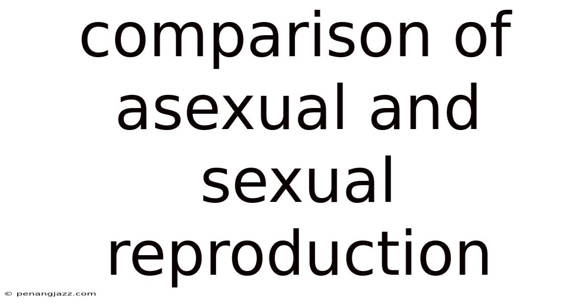Comparison Of Asexual And Sexual Reproduction