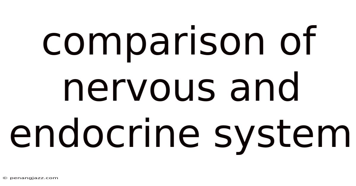 Comparison Of Nervous And Endocrine System