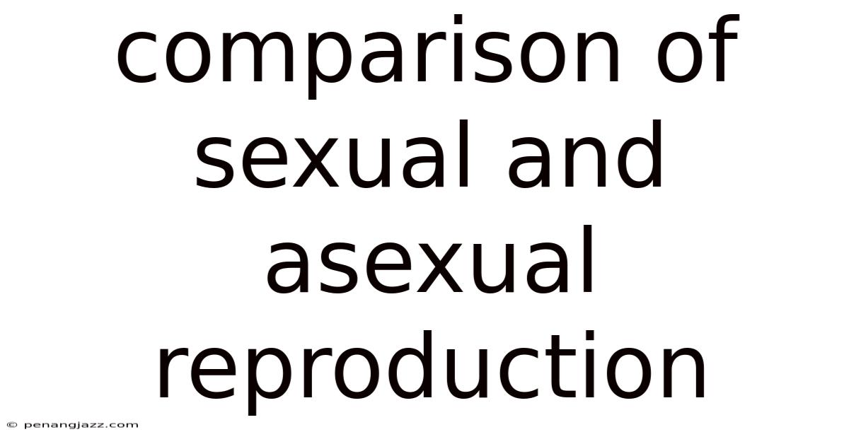 Comparison Of Sexual And Asexual Reproduction