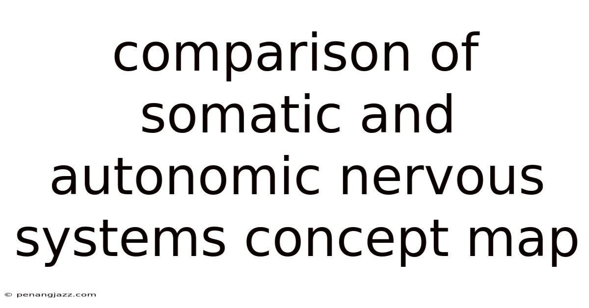 Comparison Of Somatic And Autonomic Nervous Systems Concept Map