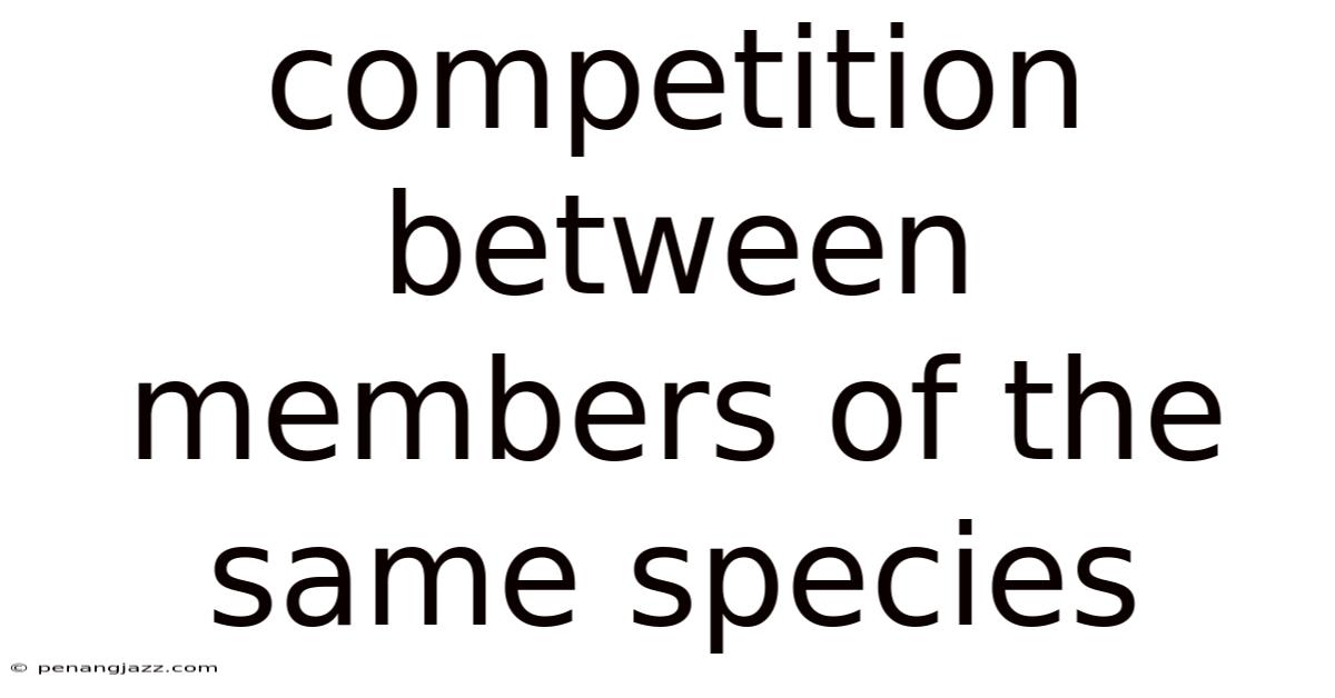 Competition Between Members Of The Same Species