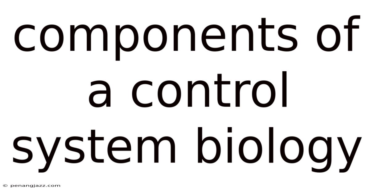 Components Of A Control System Biology