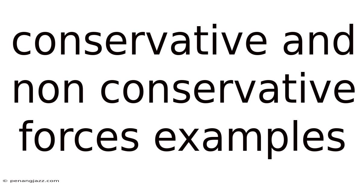 Conservative And Non Conservative Forces Examples