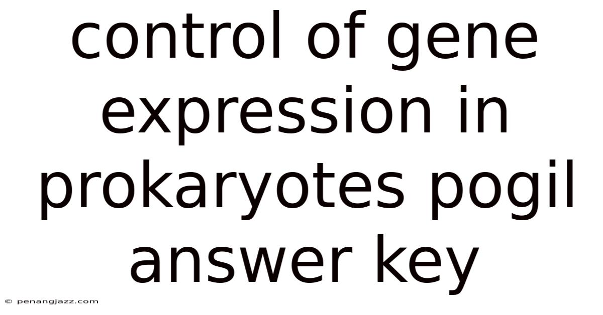 Control Of Gene Expression In Prokaryotes Pogil Answer Key