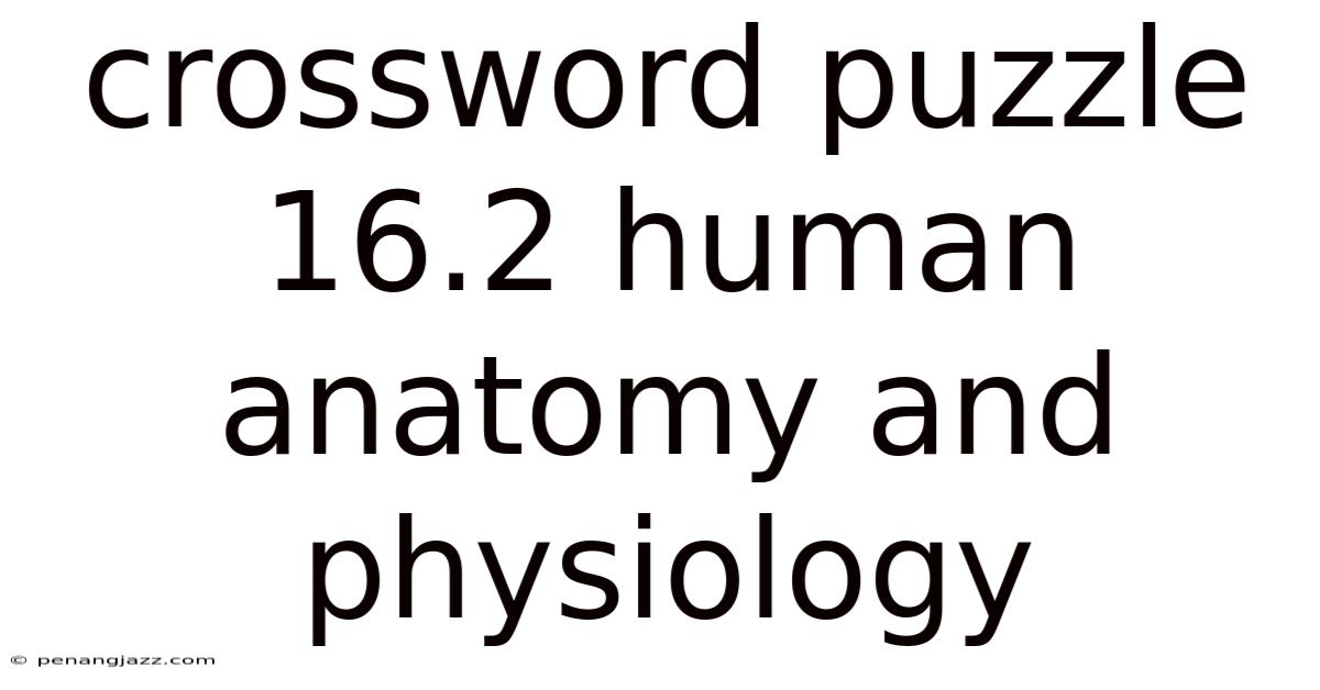 Crossword Puzzle 16.2 Human Anatomy And Physiology