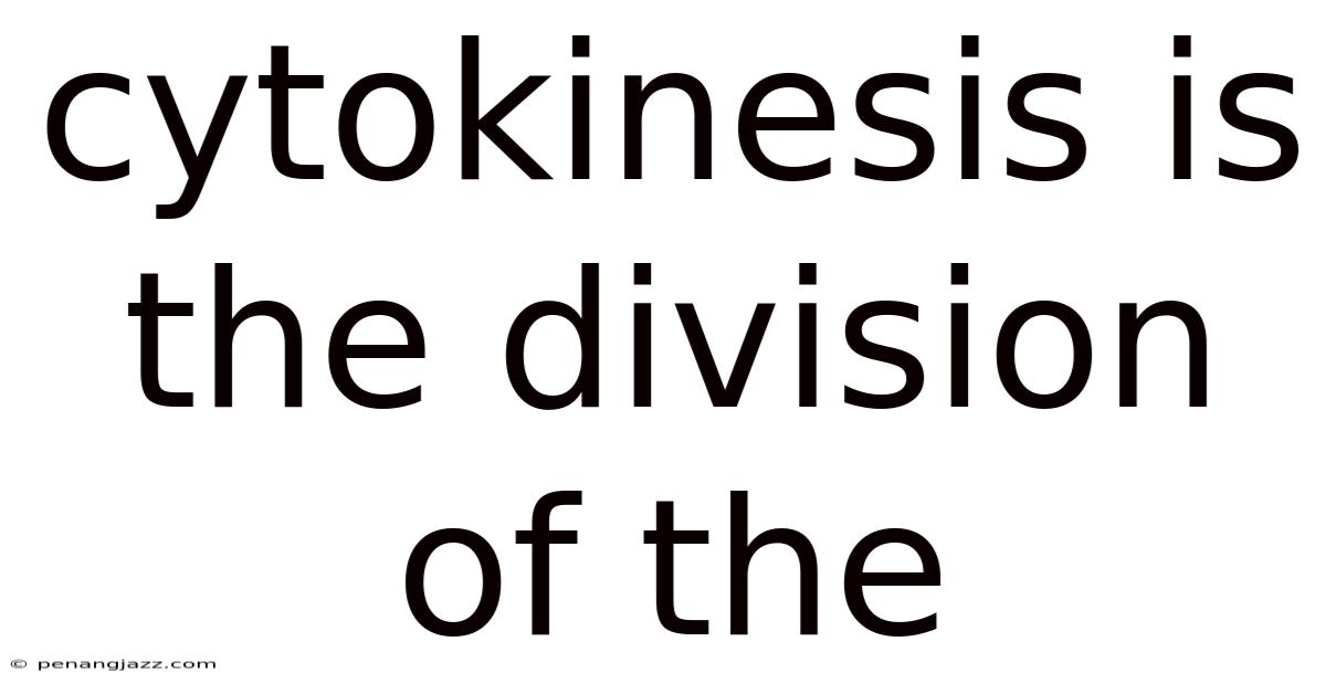 Cytokinesis Is The Division Of The
