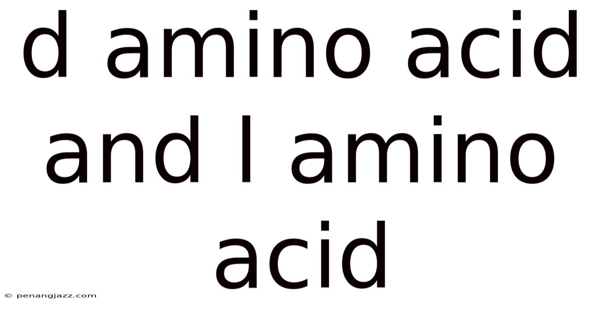 D Amino Acid And L Amino Acid