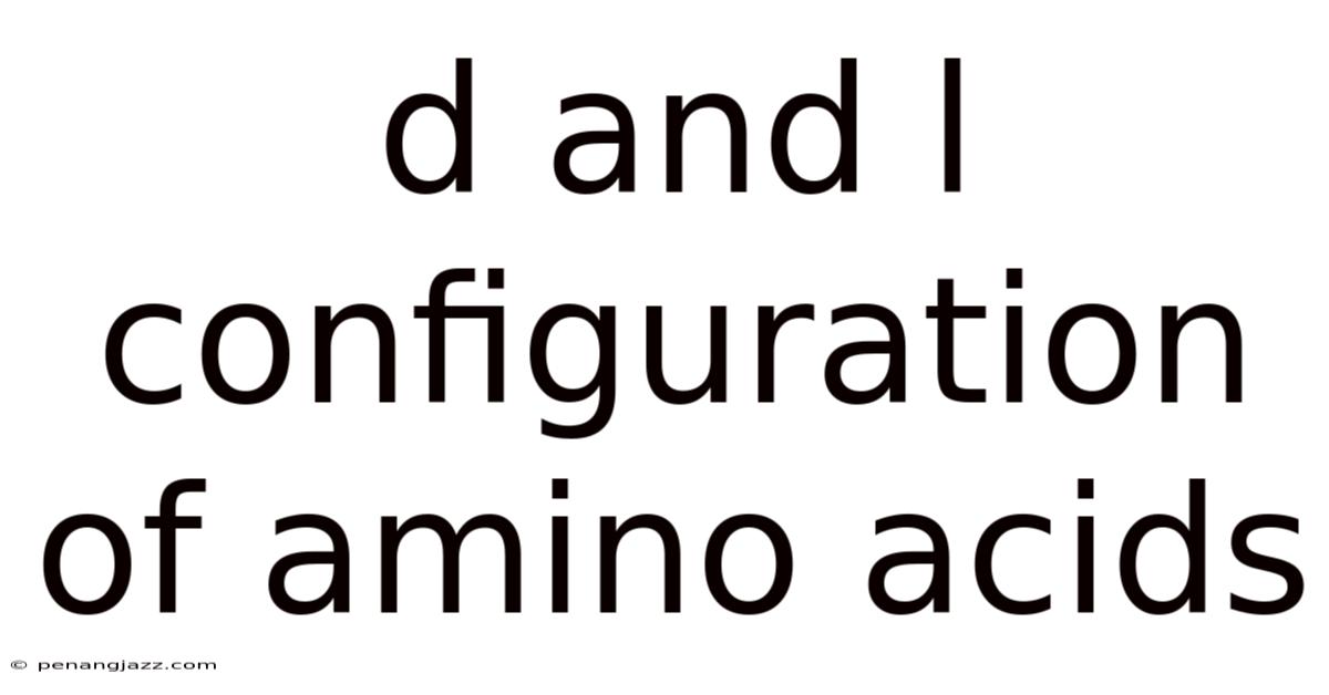 D And L Configuration Of Amino Acids