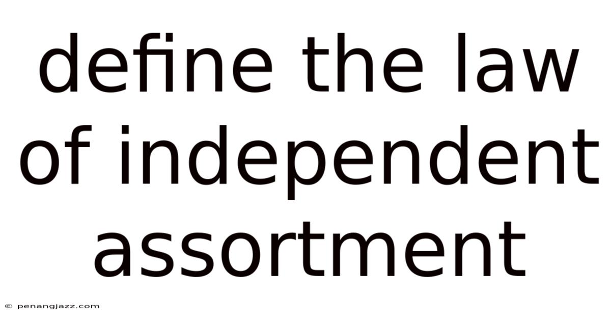 Define The Law Of Independent Assortment