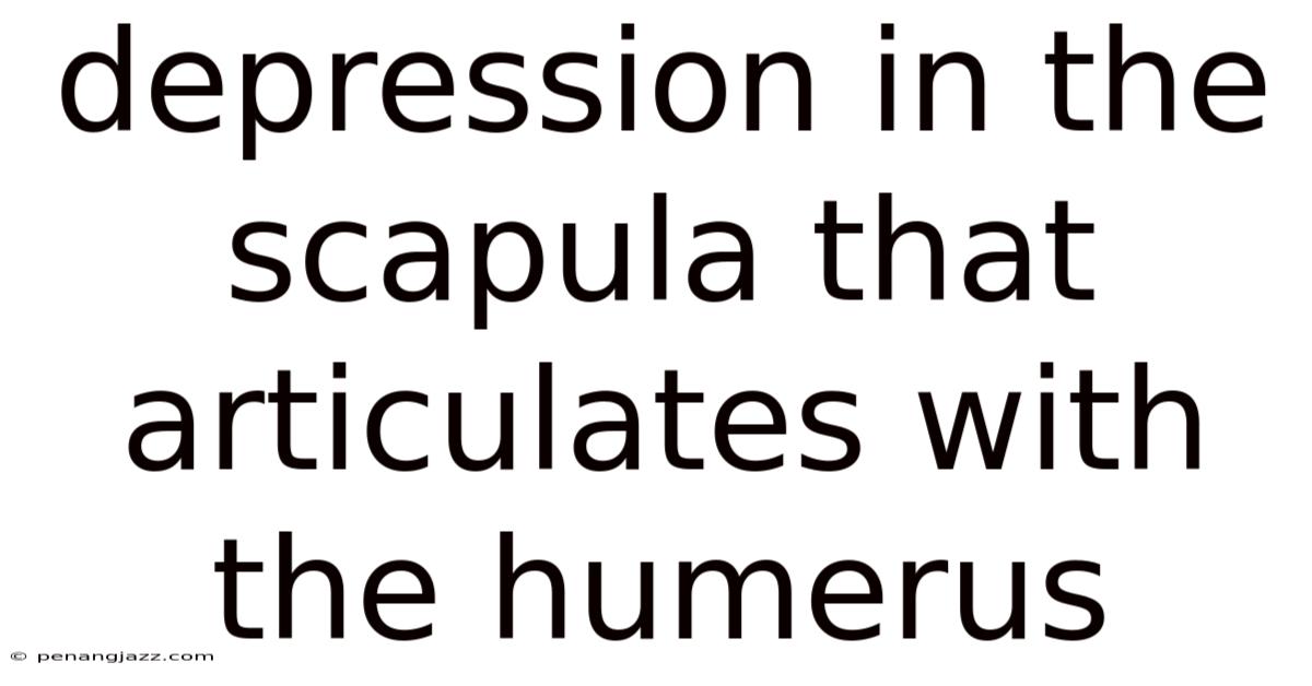 Depression In The Scapula That Articulates With The Humerus