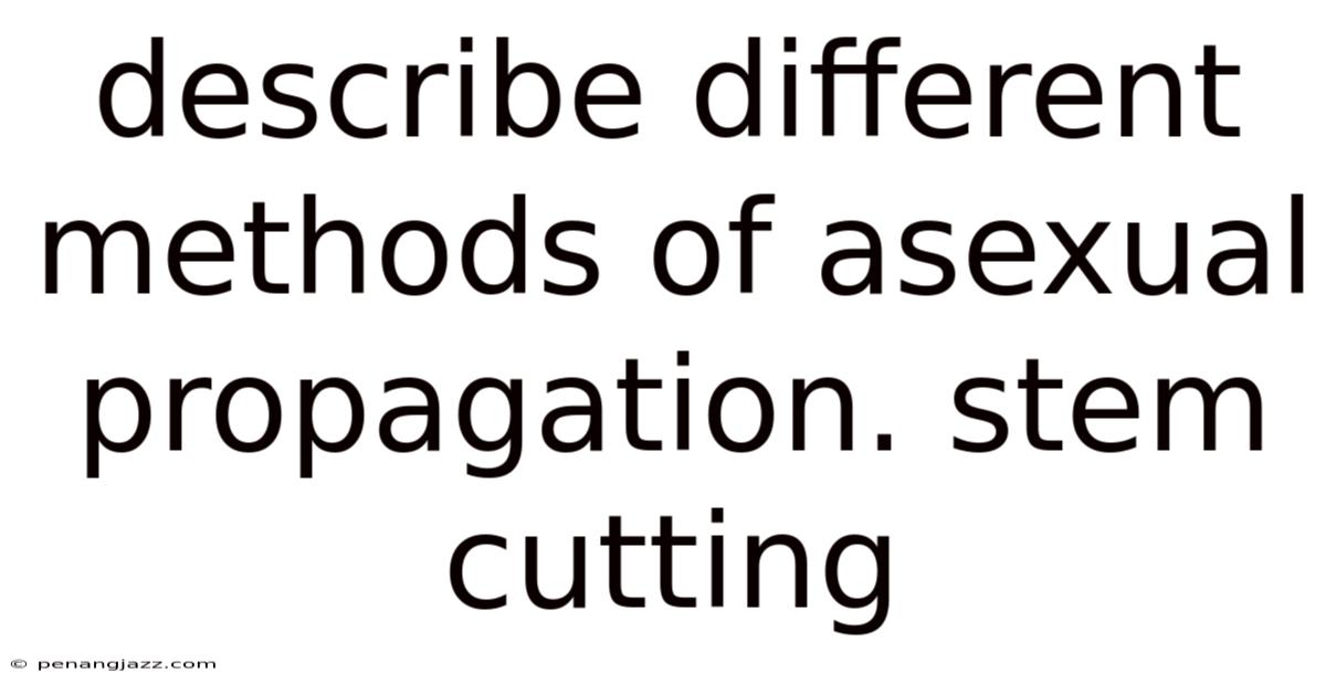 Describe Different Methods Of Asexual Propagation. Stem Cutting