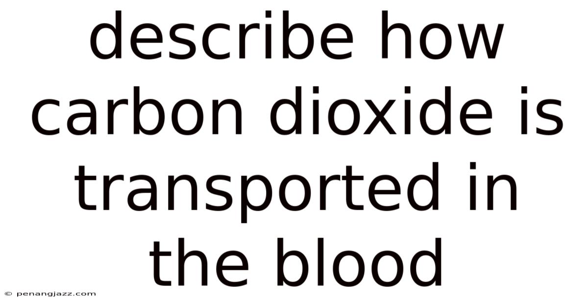 Describe How Carbon Dioxide Is Transported In The Blood