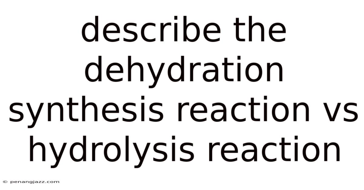Describe The Dehydration Synthesis Reaction Vs Hydrolysis Reaction
