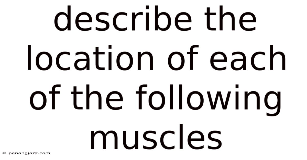 Describe The Location Of Each Of The Following Muscles