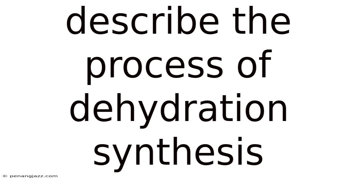 Describe The Process Of Dehydration Synthesis