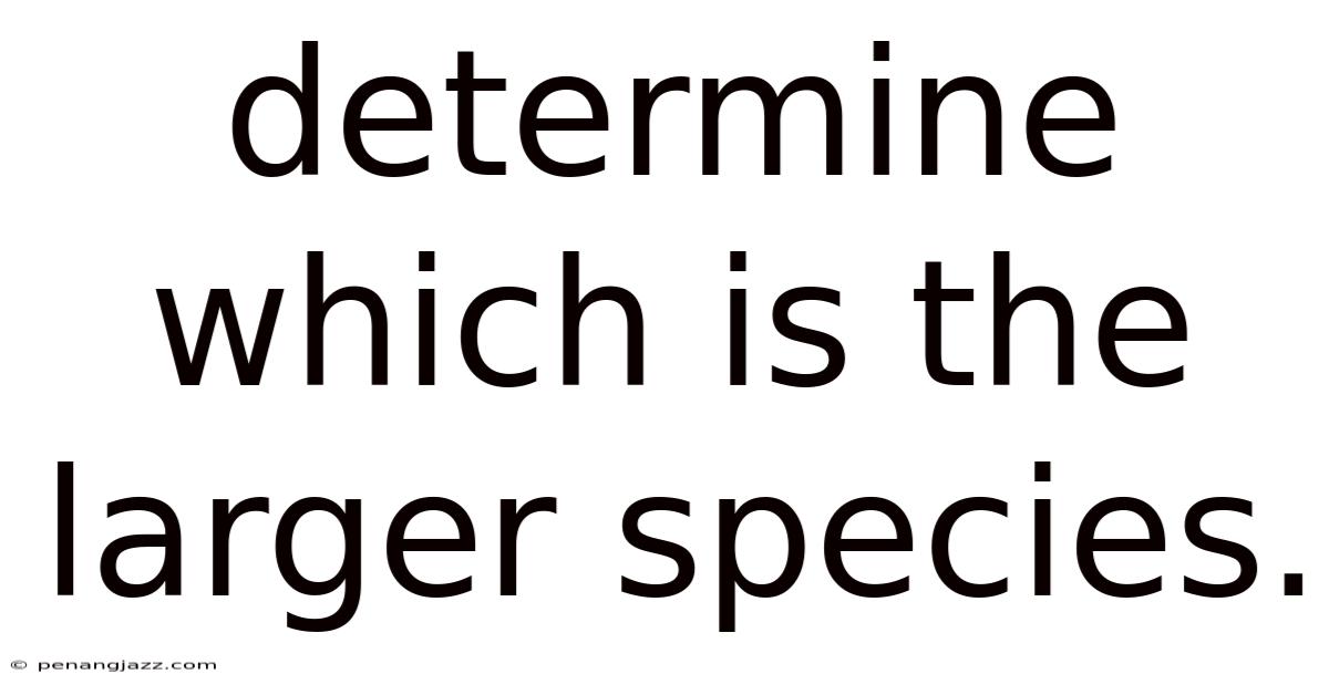 Determine Which Is The Larger Species.