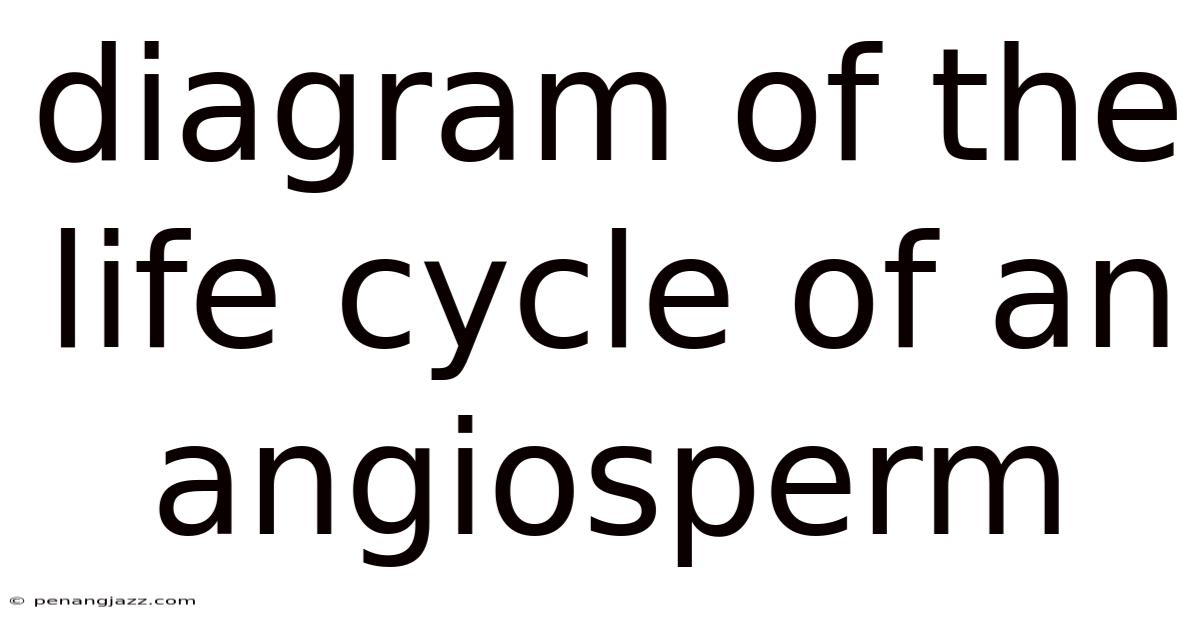 Diagram Of The Life Cycle Of An Angiosperm