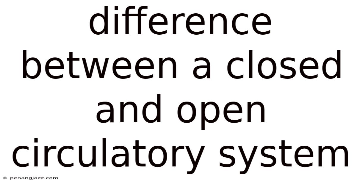 Difference Between A Closed And Open Circulatory System