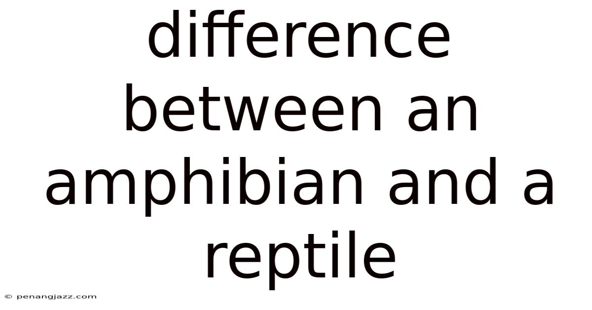 Difference Between An Amphibian And A Reptile