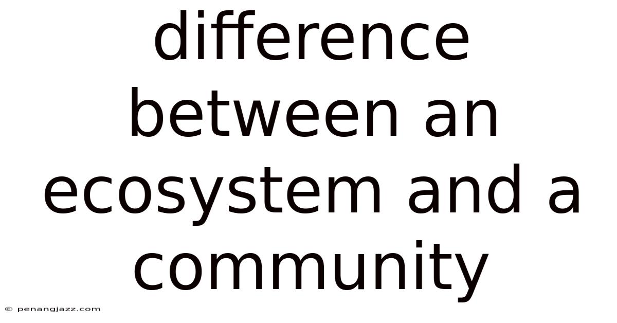 Difference Between An Ecosystem And A Community