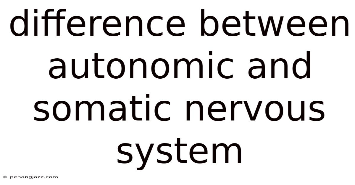 Difference Between Autonomic And Somatic Nervous System