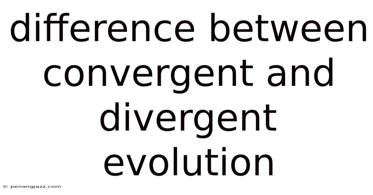 Difference Between Convergent And Divergent Evolution