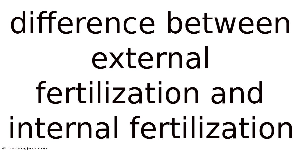Difference Between External Fertilization And Internal Fertilization