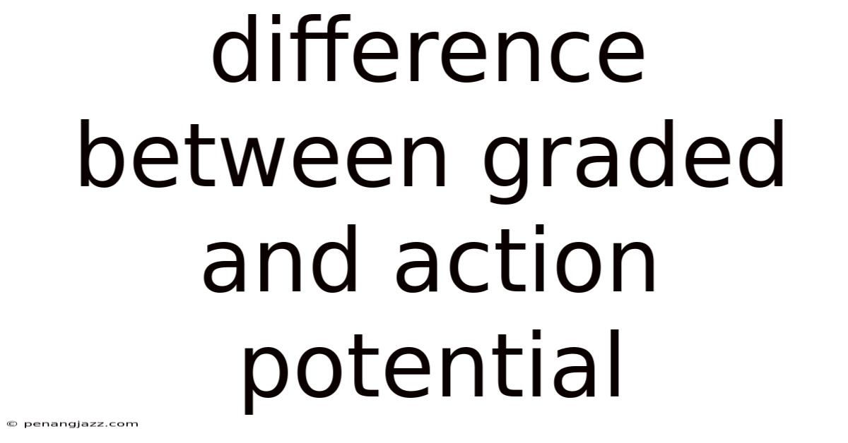 Difference Between Graded And Action Potential