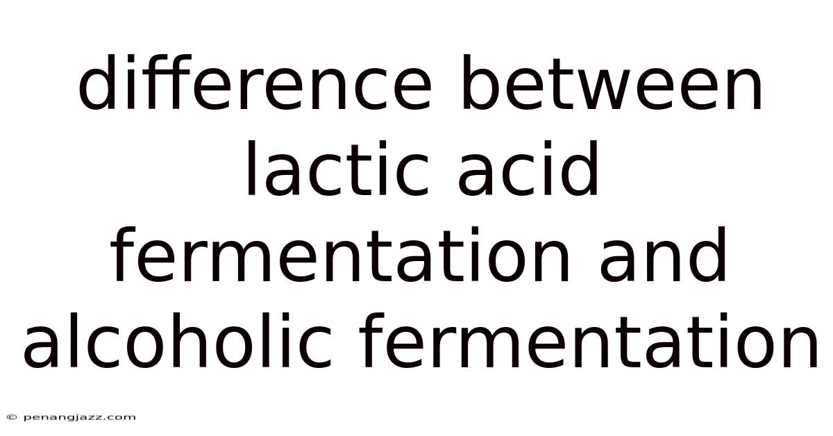 Difference Between Lactic Acid Fermentation And Alcoholic Fermentation