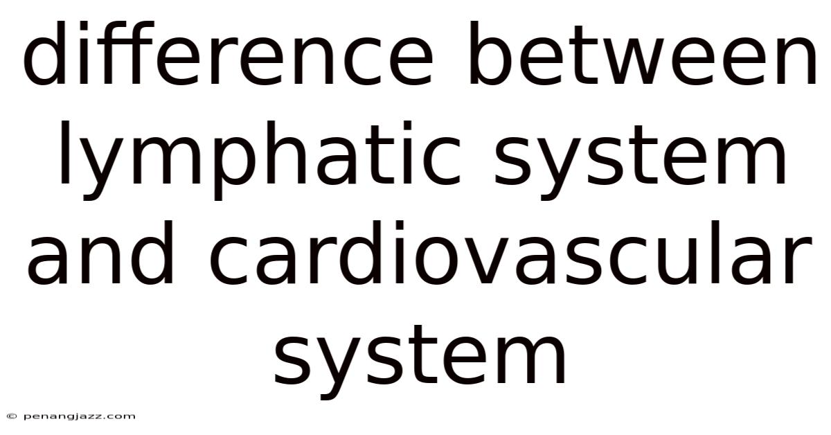 Difference Between Lymphatic System And Cardiovascular System