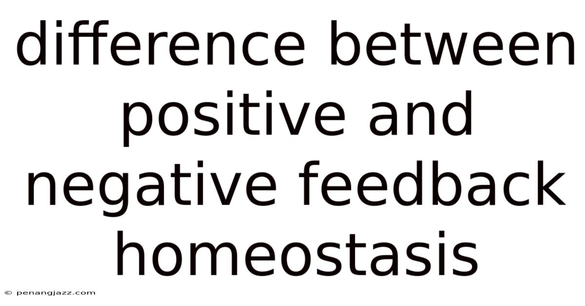 Difference Between Positive And Negative Feedback Homeostasis